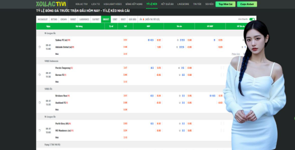 How to Maximize Your Experience on the Platform